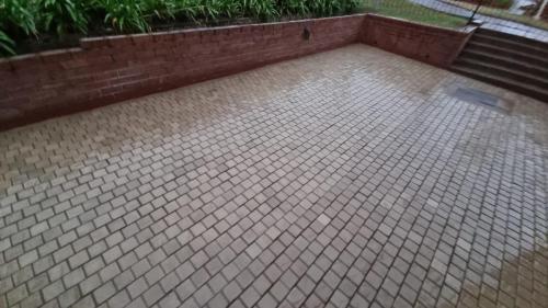 IMG-20240921-WA1388